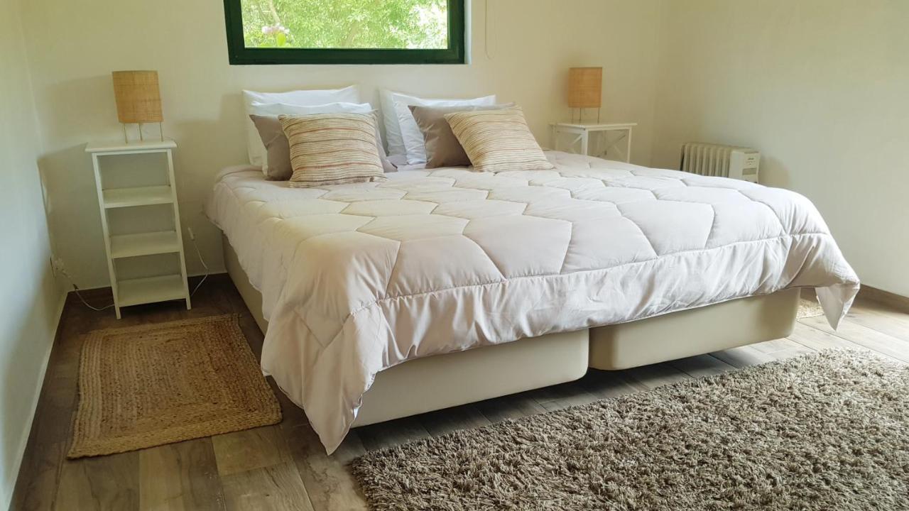 Casa Da Mata Villa Praia de Mira Ngoại thất bức ảnh