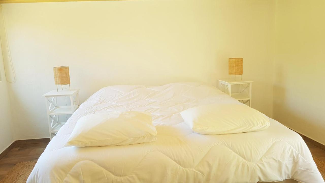 Casa Da Mata Villa Praia de Mira Ngoại thất bức ảnh
