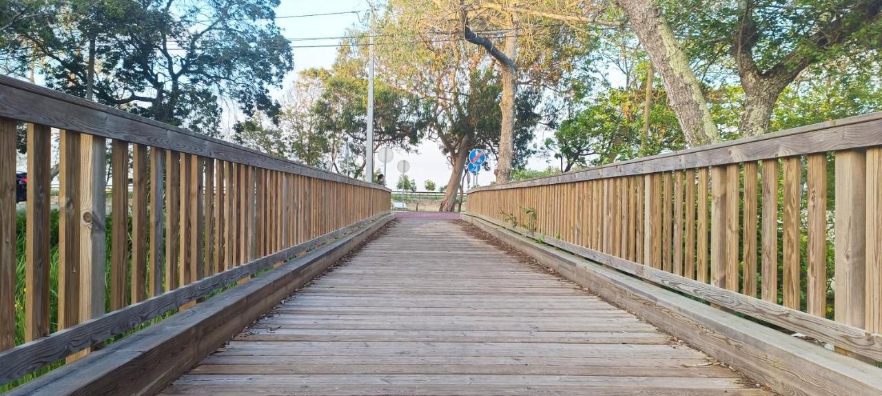 Casa Da Mata Villa Praia de Mira Ngoại thất bức ảnh